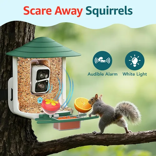 Miniatura 8 de birdsnap® TUC - Comedero para pájaros con cámara 2K HD en vivo con tarjeta de 32 GB, detección y notificación automática de inteligencia artificial