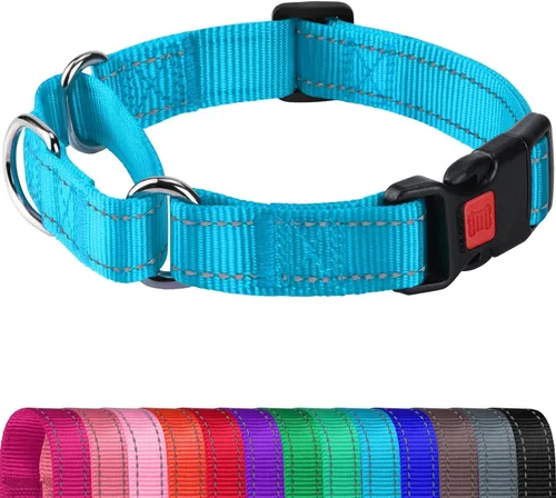 Joytale Collar Martingale para perros, reflectante resistente para mayor seguridad, hebilla de liberación rápida, collares de nailon ajustables para