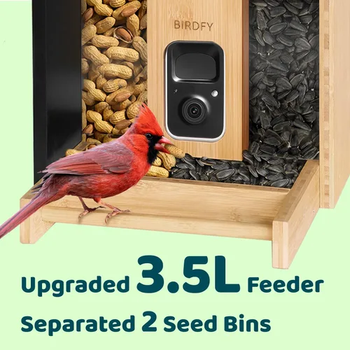 Miniatura 5 de NETVUE by Birdfy - Comedero inteligente para pájaros con cámara, alimentado por energía solar, vapor vivo de 2K y IA Identificación de especies