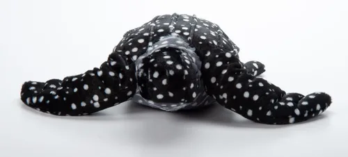 Miniatura 8 de The Petting Zoo Leatherback - Peluche de tortuga marina, regalos para niños, animales salvajes del océano Onez, juguete de peluche de tortuga marina
