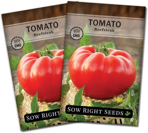 Miniatura 7 de Sow Right Seeds - Semillas de tomate Beefsteak para plantar - Paquete de reliquia sin OMG con instrucciones para plantar un jardín de vegetales