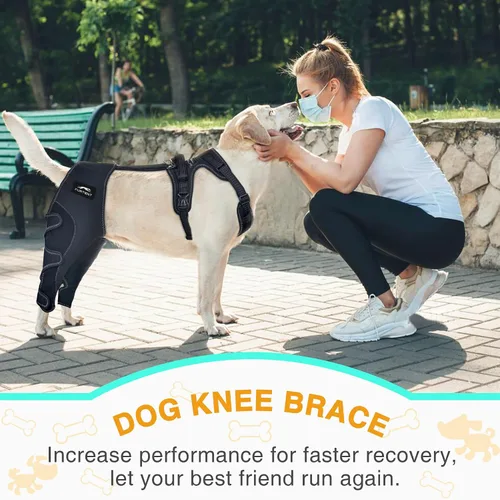 Miniatura 2 de Perro ACL Brace pata trasera – Mantiene las articulaciones calientes y estables, soporte ajustable mejorado para las piernas, arnés personalizado