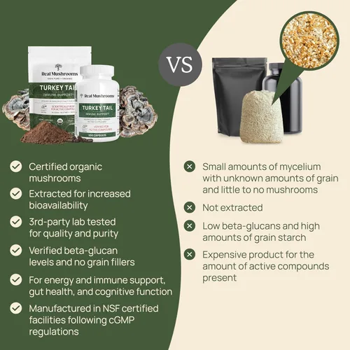 Miniatura 6 de Real Mushrooms Polvo de seta cola de pavo – Extracto de seta orgánico para el bienestar diario, armonía intestinal y apoyo energético con beta