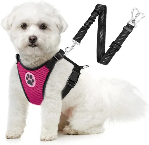 Miniatura 10 de SlowTon Arnés de Cinturón de Seguridad para Perros para Coche, Arnés de Coche para Perros Ajustable de Malla Transpirable y Cinturón de Seguridad