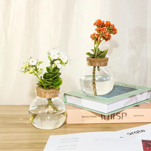 Miniatura 3 de Estación de propagación de plantas, jarrón hidropónico de terrario, estación de maceta de vidrio de escritorio, para casas, decoraciones de jardín