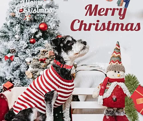 Miniatura 4 de Mihqy - Collar navideño de perro, collar ajustable de alta calidad para perros pequeños, medianos y grandes, diseño de Navidad, M