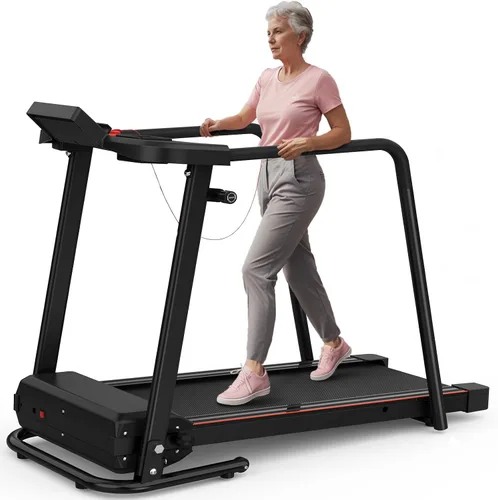Caminadora para personas mayores con pasamanos largos, control de aplicación y escenas virtuales 3D - Motor silencioso de 3.0 HP, capacidad de 300
