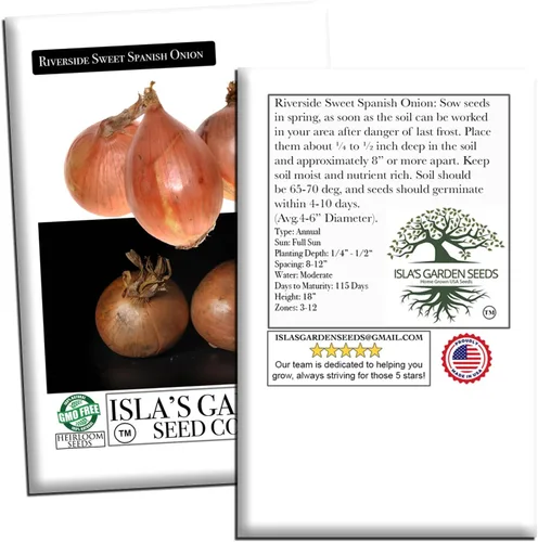 Miniatura 7 de Riverside Sweet Spanish Onion Seeds (Allium cepa) – Más de 300 semillas tradicionales sin OMG de Isla's Garden Seeds, bombillas grandes suaves