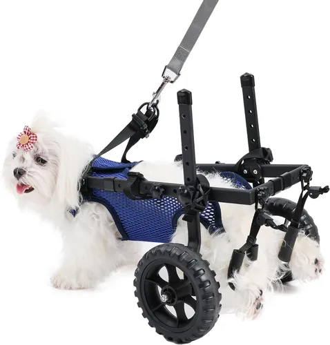 Silla de ruedas para perros para patas traseras, carrito de silla de ruedas para perros, sillas de ruedas para perrito/gato con patas traseras