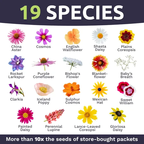 Miniatura 4 de Cut Flower Garden Seeds – Paquete extra grande de 1 onza – Más de 7,500 semillas frescas de flores silvestres polinizadas abiertas sin OMG – Anuales
