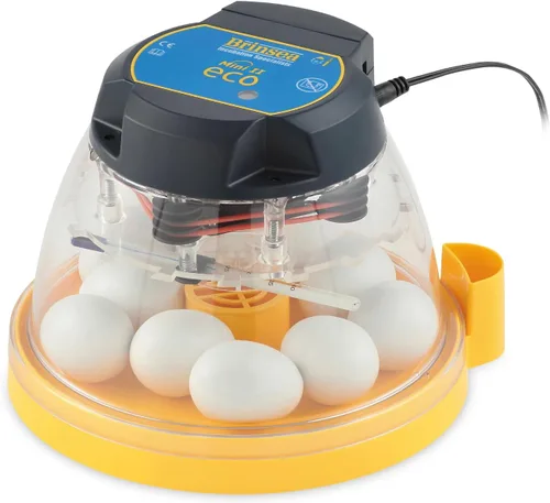 Brinsea Mini II Eco Incubadora manual de huevos con recarga externa de agua, circulación de aire asistida por ventilador para incubar 10 pollo, pato