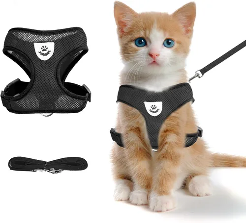 shudyear Arnés de pecho para gato de verano y correa, juego de correa y arnés de malla suave ajustable antiescape para todo tipo de gatos, chalecos