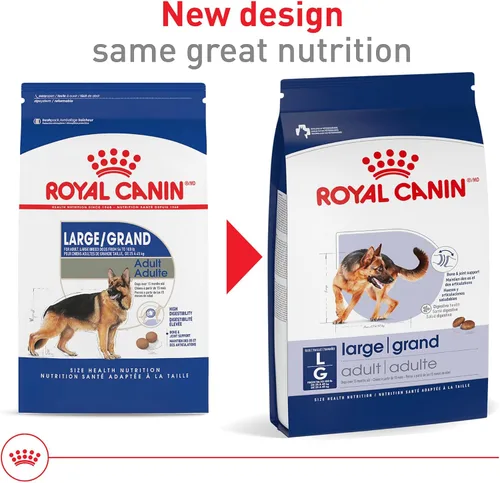 Miniatura 2 de Royal Canin Size Health Nutrition Alimento Seco para Perros Adultos de Raza Grande, Bolsa de 30 lb