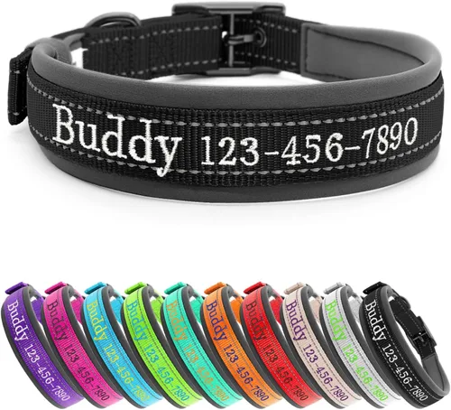 Collar de perro personalizado de nailon con nombre y teléfono bordados, tira reflectante, forro de neopreno suave, hebilla de metal duradera, correa