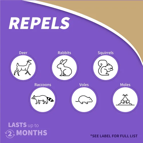 Miniatura 3 de Bonide Repels-All Repelente de Animales, Concentrado de 32 oz, Repelente de Ciervos para Jardín Exterior de Larga Duración, Seguro para Personas