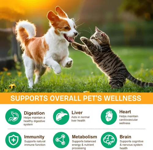 Miniatura 4 de Suplemento de hongos en polvo para perros y gatos, 11 complejos beneficiosos de hongos para apoyo inmunológico, protección celular, salud cardíaca