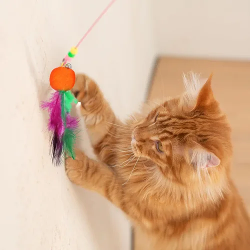 Miniatura 4 de Kifmurase 12 Pcs Cat Wand Feather Toy Refills, Interactive Wand Attachments with Bells, Colorful Interactive Teaser Feathers Replacement for Indoor