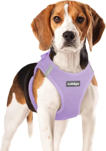 Miniatura 132 de rabbitgoo Arnés para perro pequeño, chaleco de malla suave para cachorros con hebilla de seguridad, arnés reflectante transpirable para mascotas