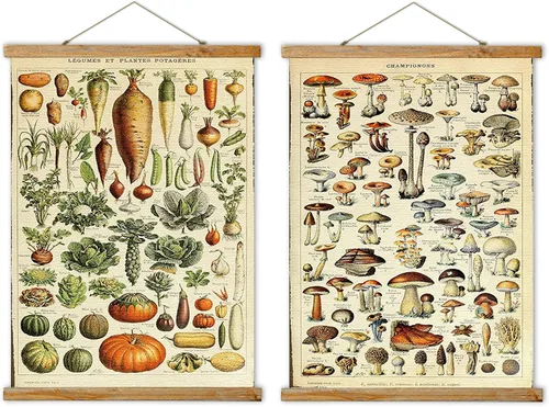 Ovfovy Paquete de 2 pósteres vintage de hongos y verduras, estilo retro de pintura artística de pared, decoración de pared educativa para