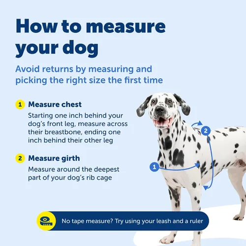 Miniatura 7 de PetSafe Arnés Deluxe Easy Walk – Arnés de pecho para perro de confianza del entrenador con diseño de bucle martingala transpirable – Ayuda a dejar