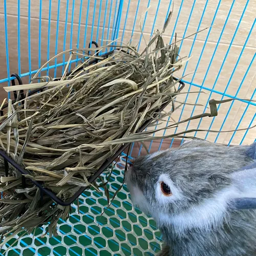 Miniatura 7 de Comedero de heno para conejos, dispensador de heno para colgar en jaula, alimentador de metal para animales pequeños, soporte para heno