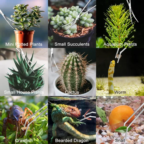 Miniatura 6 de 4 Piezas Herramientas de Paisajismo Acuático, Kit Jeimier Aquascape, Pinzas Largas y Fuertes para Acuario, Tijeras, Raspador de Algas, Herramientas