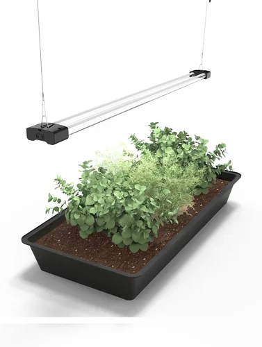 Miniatura 6 de DYMOND BoostGro - Luz LED de crecimiento de espectro completo enlazable 5000K luz diurna + 660 nm accesorio de iluminación roja para plantas