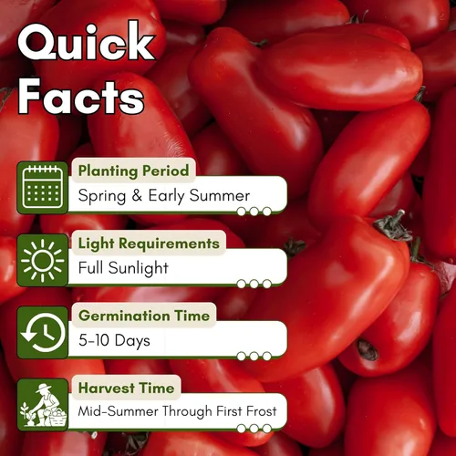 Miniatura 5 de Woods Creek Seeds: Semillas de tomate San Marzano para plantar, semillas de tomate tradicionales para plantar al aire libre, interior, patio