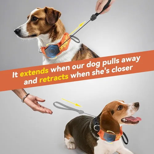 Miniatura 6 de NAMSAN Collar de correa retráctil para perros pequeños a medianos, collar de perro con correa retráctil integrada, todo en uno, ajustable, naranja