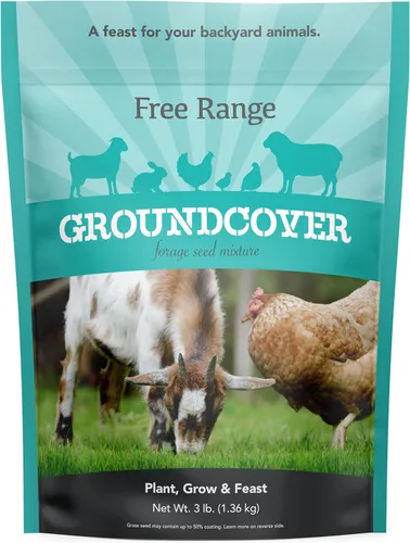 Barenbrug Free Range GroundCover - Mezcla de semillas de forraje, ideal para pollos, aves de caza, cabras y ovejas, bolsa de 3 libras, color azul