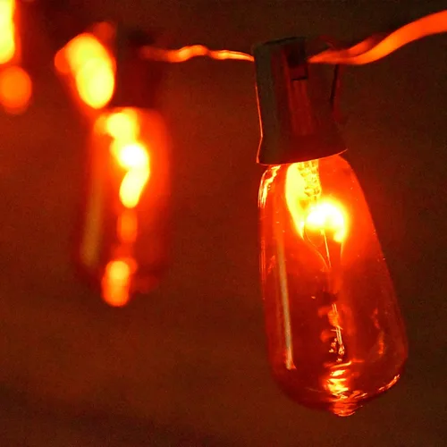 Miniatura 4 de SUNSGNE Paquete de 25 bombillas de repuesto transparentes de luz nocturna, bombillas incandescentes de Navidad transparentes C7 para luz nocturna