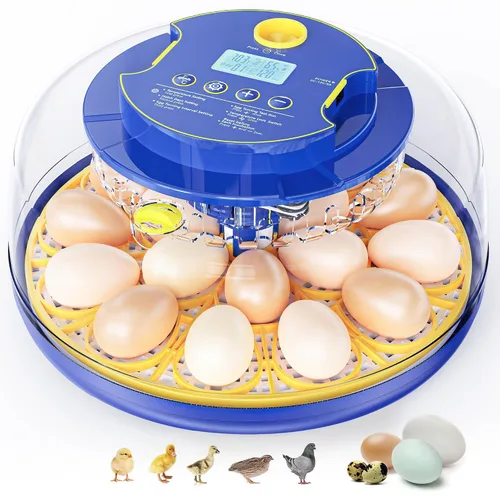 18 incubadoras de huevos de gallina para incubar huevos: incubadora de huevos con giro automático de huevos y control de humedad - Vela de huevos -