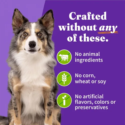 Miniatura 6 de Halo Holistic - Alimento húmedo vegano para perros, receta a base de plantas, comida enlatada para perros, salud digestiva completa, perros adultos