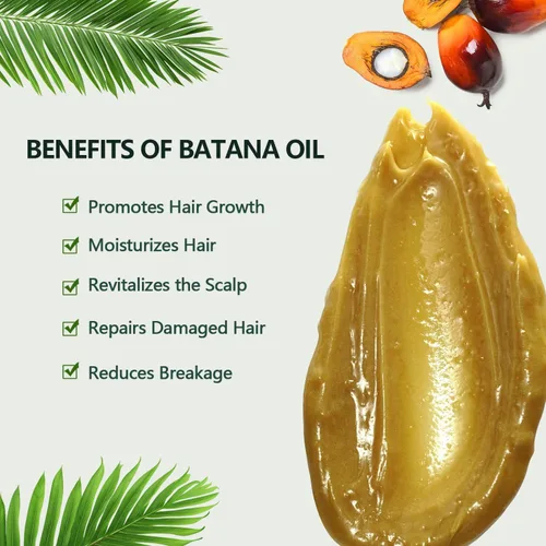 Miniatura 3 de AZURE Aceite de batana 100% natural para el crecimiento del cabello, mascarilla orgánica para cabello crudo de Honduras que previene la pérdida