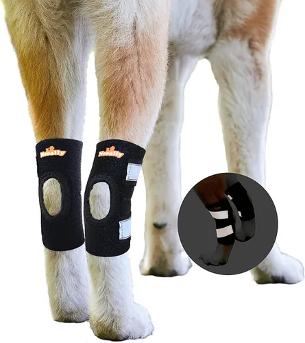 NeoAlly Par de soportes para tobillos de gato y perro, soporte para pata trasera canina con correas reflectantes de seguridad para heridas en la