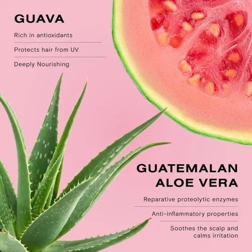 Miniatura 4 de Ceremonia Champú Guava Color Protect & Damage Repair Restaura el cabello y aumenta el brillo con aloe vera Protege el cabello de los rayos UV