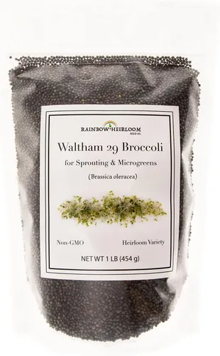 Miniatura 6 de Semillas de brócoli para germinado y microverdes Variedad Waltham 29 Semillas sin OMG y de legado Bolsa resellable de 1.13 kg (40 oz) al por