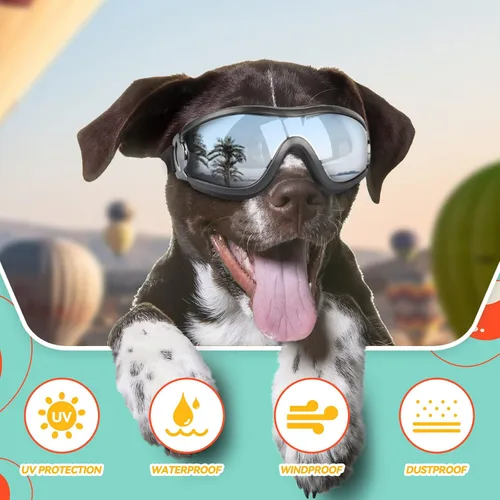Miniatura 4 de Gafas de sol para perros de razas grandes, juego de 2 piezas de protección UV negra y transparente, resistente al viento para perros medianos a