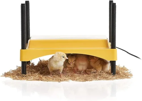 Brinsea Ecoglow Safety 600 - Plato para criar hasta 20 pollitos - Placa térmica de 12 W de eficiencia energética para patitos y aves de corral -