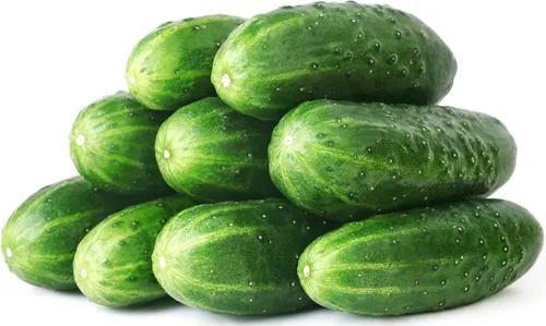 Miniatura 47 de 50 Hale's Best Cantaloupe Seeds for Planting - Sweet Aromatic Heirloom, Non-GMO, USA Grown by RDR Seeds