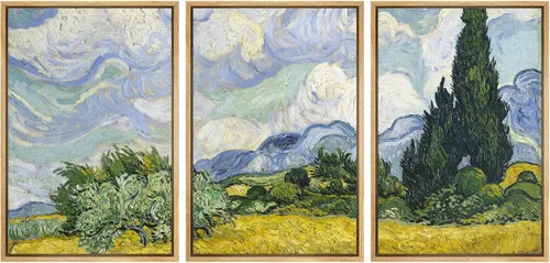 Miniatura 113 de Lienzo decorativo para pared - cuadro con estampado Giclée para decoración del hogar Noche estrellada sobre el Ródano