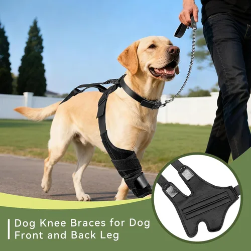 Miniatura 8 de Rodillera de perro para pierna trasera, soporte ajustable para piernas de perro para desgarro de ACL, soporte de pierna trasera, estabilidad