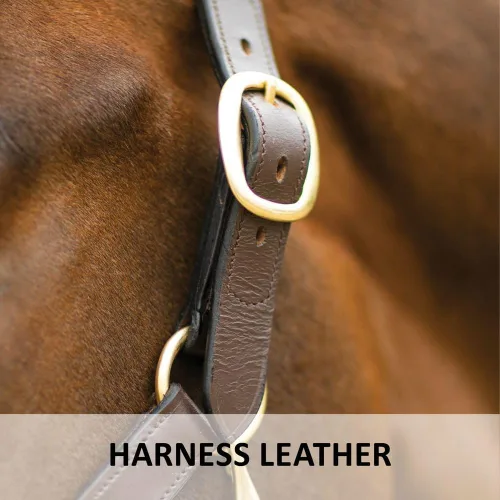 Miniatura 5 de Dura-Tech Premier Lancaster - Cabestro de cuero para caballos Cabestro de cuero económico simple con ajuste ajustable y herrajes de latón macizo