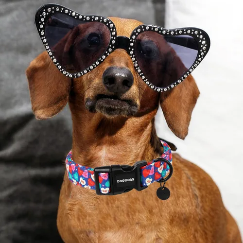 Miniatura 4 de DOGWONG Collar para perro de San Valentín, collar ajustable de algodón con corazón de caramelo azul, perfecto para perros pequeños a medianos