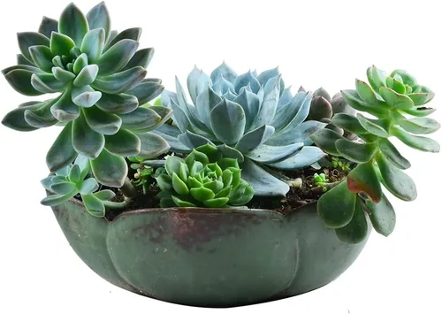 Miniatura 4 de NWFashion Decoración Maceta de cerámica de 10 pulgadas Plantador verde al aire libre interior plantación de flores suculentas