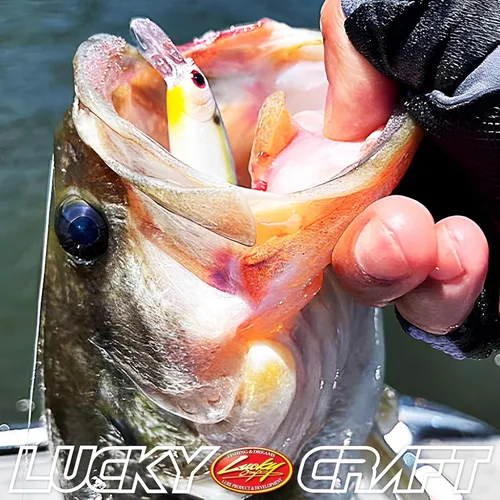 Miniatura 6 de Señuelos de pesca LUCKY CRAFT Pointer 78SP, señuelos de lubina y trucha de agua dulce de 3", suspensión de 4 pies a 5 pies de profundidad, Jerkbait