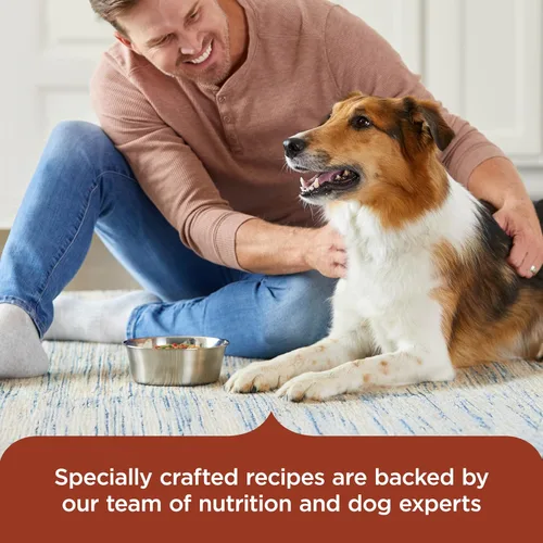 Miniatura 5 de Alimento natural húmedo para gatos Rachael Ray Nutrish, Paquete variado