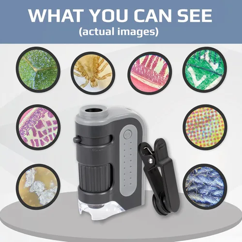 Miniatura 3 de Carson MicroBrite - Microscopio digital portátil de bolsillo para niños o adultos, zoom preciso de 60 x 120x, microscopio de mano con clip