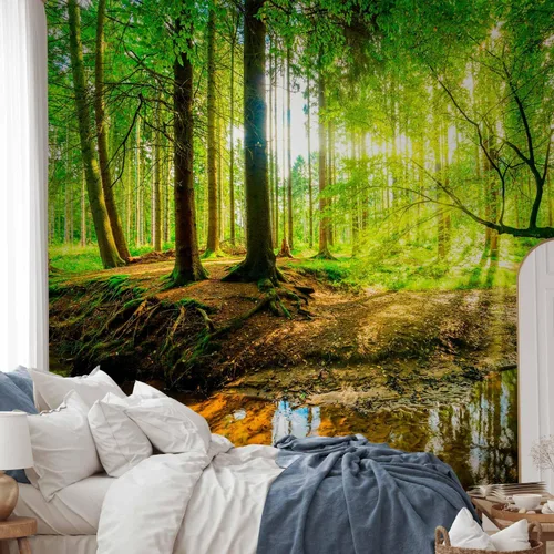 Miniatura 5 de artgeist Mural de pared premium Bosque 138 x 101 pulgadas, papel tapiz fotográfico no tejido, impresión artística, mural de pared de forro polar, #12