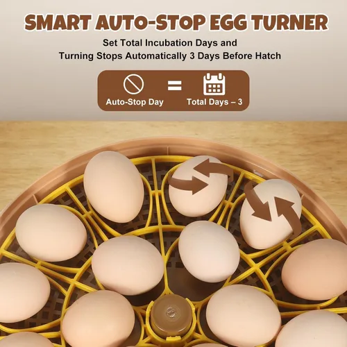 Miniatura 5 de Nest III - Incubadora de 18 huevos para aficionados, bandejas de huevos de doble tamaño, control de humedad y temperatura adaptativo multinivel